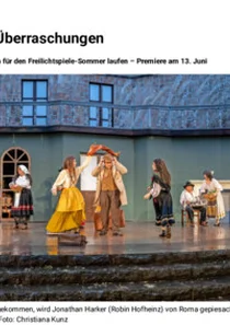 Dateivorschau: Heilbronner Stimme 2025-06-07