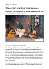 Dateivorschau: Heilbronner Stimme 2025-06-16 Bericht